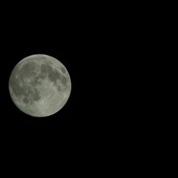 Moon over Davidson, 10:45pm, Aug. 28, 2015. (©2015 David Boraks)
